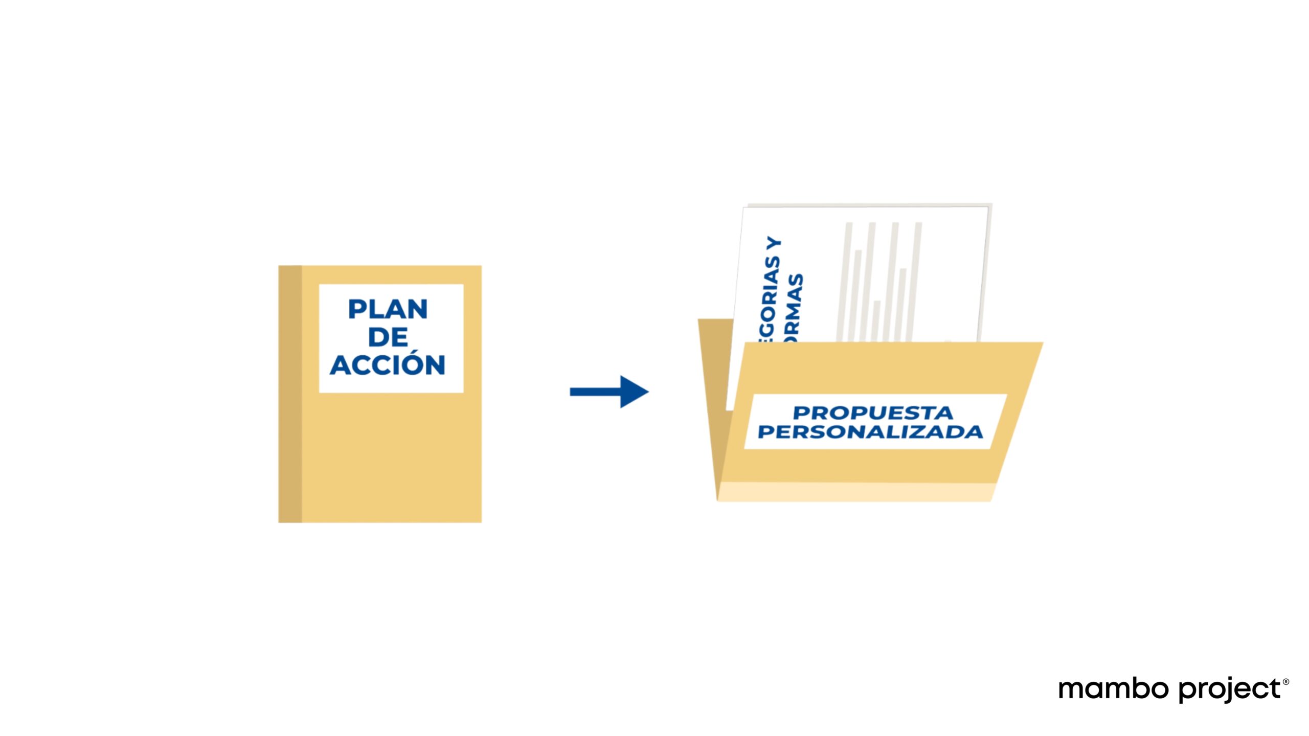 Reforma de farmacia, estrategia de gestión por categorias, propuesta personalizada